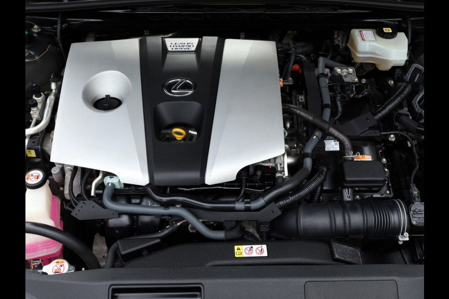 Lexus ES 300h President Line | Mark Levinson | Camerabeeld Buitenspiegels