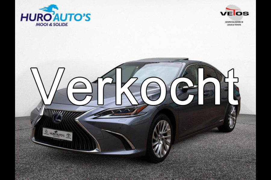Lexus ES 300h President Line | Mark Levinson | Camerabeeld Buitenspiegels