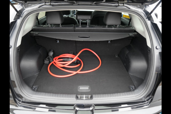 Kia e-Niro DynamicPlusLine 64 kWh | Schuif/kantel Dak | Stoel Stuur verwarming |