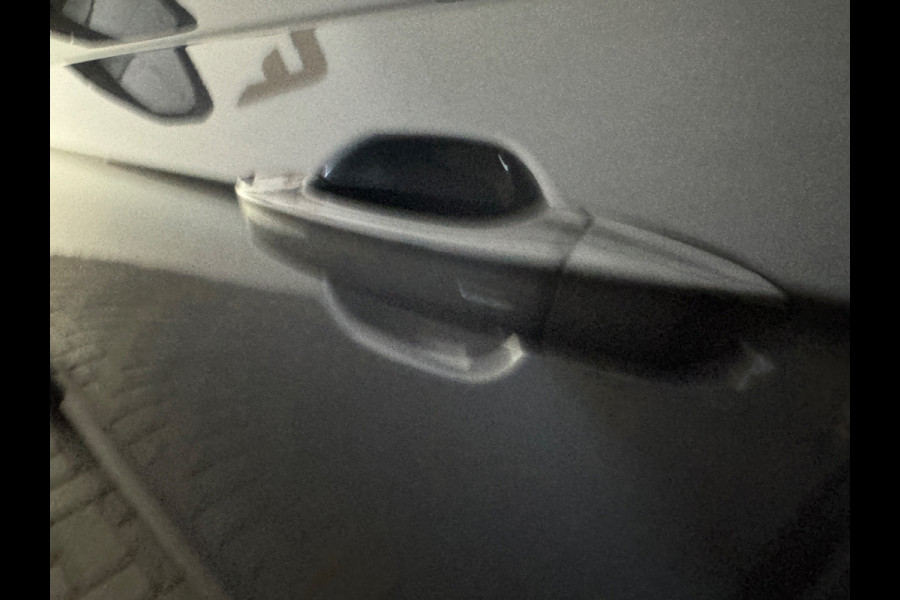 Volkswagen Polo 2.0 TSI GTI Pano|Beats|Keyless|Dodehoek|Camera|Stoelverwarming