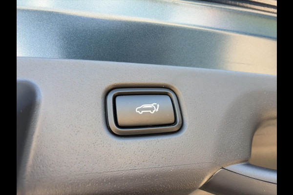 Kia Niro EV DynamicPlusLine 64.8 kWh