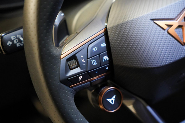 CUPRA Formentor 2.0 TSI 4DRIVE LEDER|PANO|MEMORY|BEATS AUDIO|