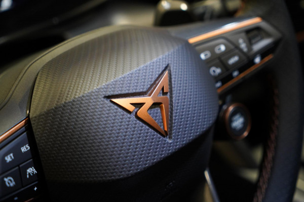 CUPRA Formentor 2.0 TSI 4DRIVE LEDER|PANO|MEMORY|BEATS AUDIO|