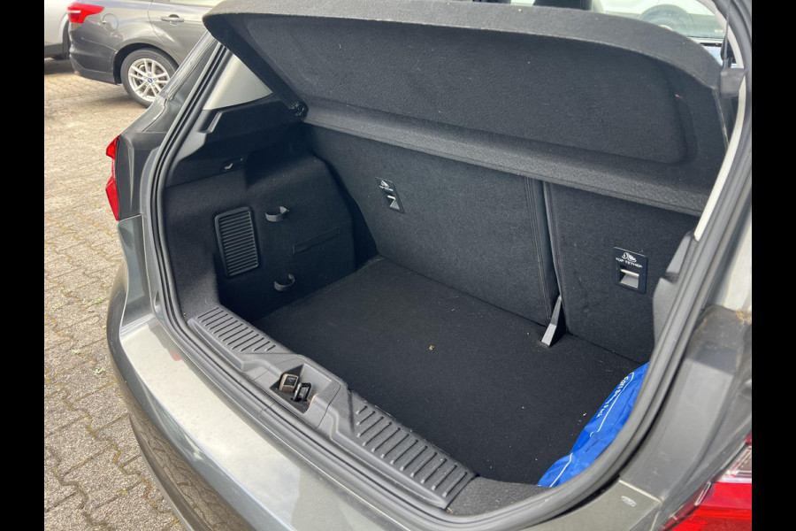 Ford Fiesta Vignale 1.0 EcoBoost 140pk | Panoramadak | Winter Pack | Adaptive cruise control | Led koplampen | Leder | Dodehoek herkenning |