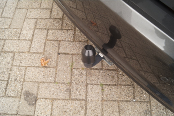 Ford Fiesta 1.0 EcoBoost 125pk Hybrid Titanium -ECC-CAM-TREKHAAK-