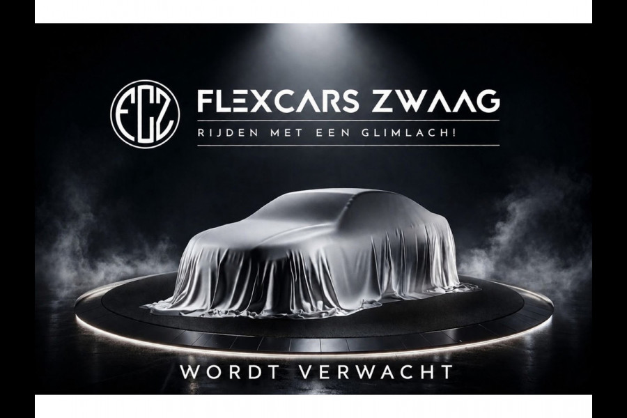 Tesla Model 3 Long Range AWD 75 kWh - Automaat - Leder - Panodak - Navi