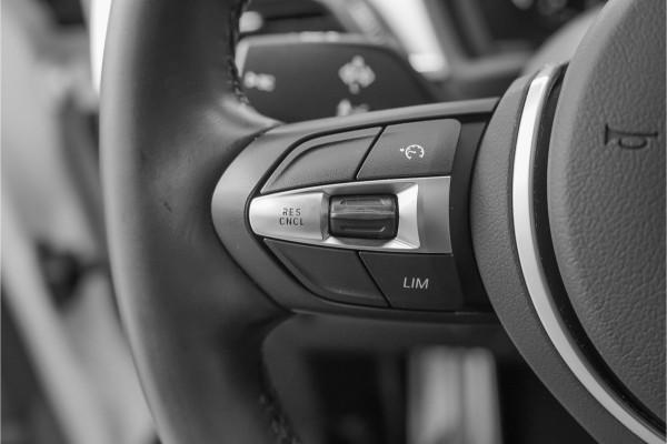 BMW X2 sDrive18i M-Sport Pano Trekhaak Stoelverw 20"