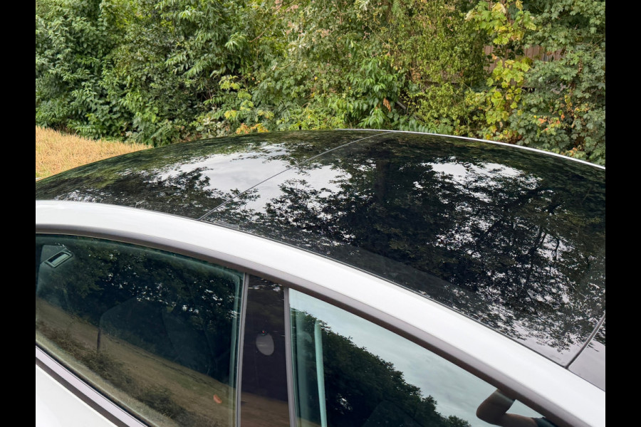 Tesla Model 3 RWD 60 kWh | Self Driving + Camera + Stoelvw Nu € 39.975,-!!!