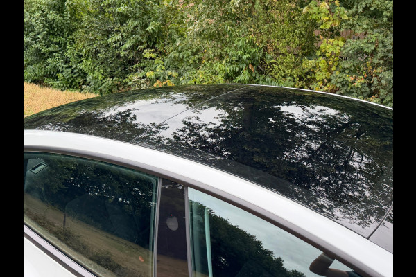 Tesla Model 3 RWD 60 kWh | Self Driving + Camera + Stoelvw Nu € 39.975,-!!!