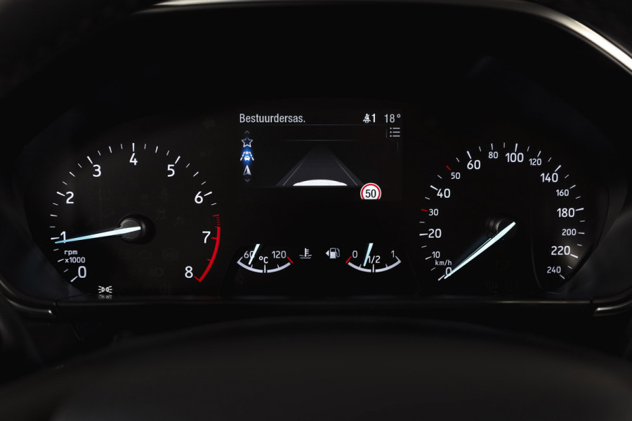 Ford Focus 1.0 EcoBoost 125 PK Active Business | Cruise | Winterpakket | PDC | NAV + App. Connect | Airco | Afn. Trekhaak | LM 17" |