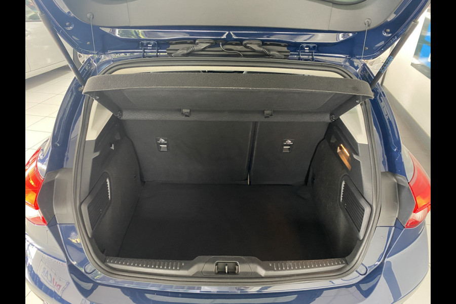 Ford Focus 1.0 EcoBoost Trend Edition Business Navigatie  / Carplay /Led verlichting /airco