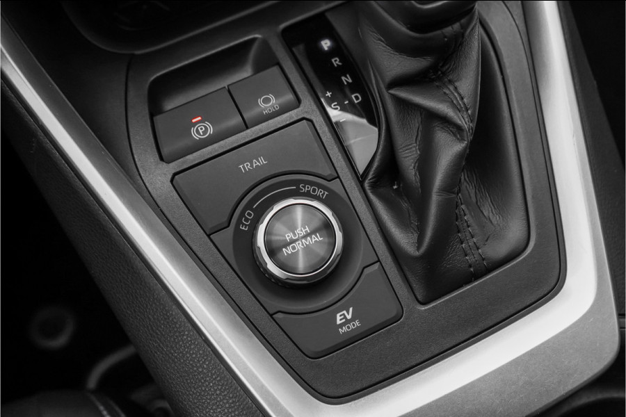 Toyota RAV4 2.5 Hybrid AWD Bi-Tone Navi ACC Camera Trekhaak