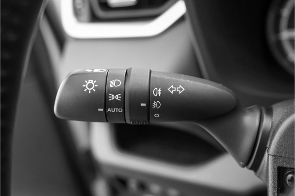 Toyota RAV4 2.5 Hybrid AWD Bi-Tone Navi ACC Camera Trekhaak