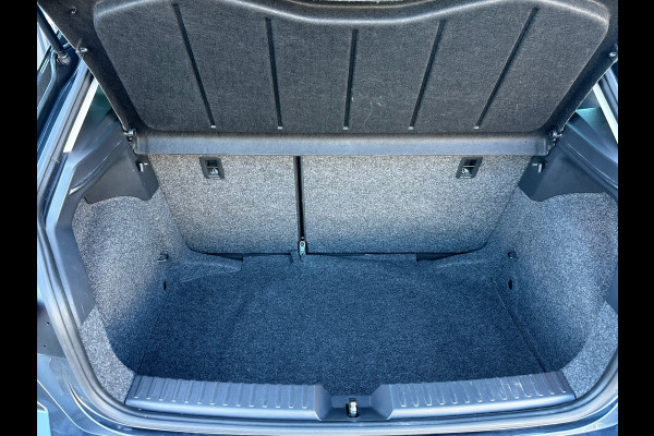 Seat Ibiza 1.0 TSI Style Business Intense CAMERA|PDC|APPLE CARPLAY|NAVI