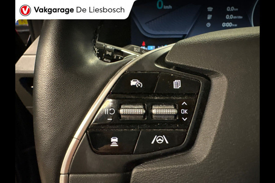 Kia Ev6 Plus Advanced 77.4 kWh/Soh 100%/pano/leer/merdian/memory/stoelkoeling