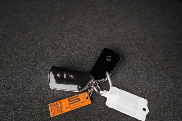 Volkswagen Tiguan 1.5 eHybrid 30 Year Ed Style IQ Pano Winterpack 360° Trekhaak ACC
