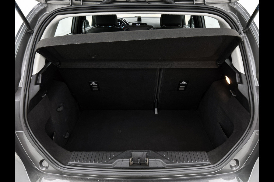 Ford Fiesta Trend 86PK | LM VELGEN | VERWARMDE VOORRUIT | PARK. SENSOREN