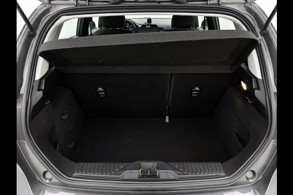 Ford Fiesta Trend 86PK | LM VELGEN | VERWARMDE VOORRUIT | PARK. SENSOREN