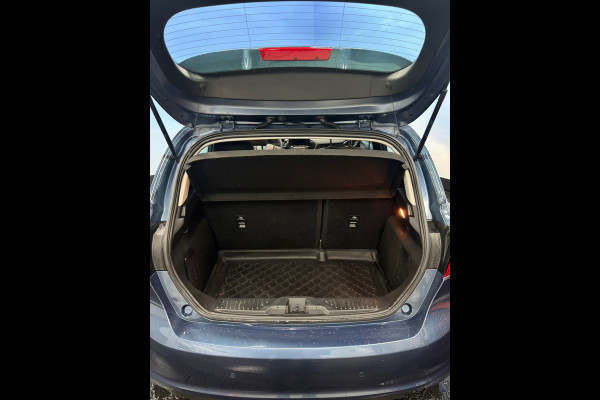 Ford Fiesta 1.0 EcoBoost Hybrid Titanium Clima | Cruise | Pano | PDC