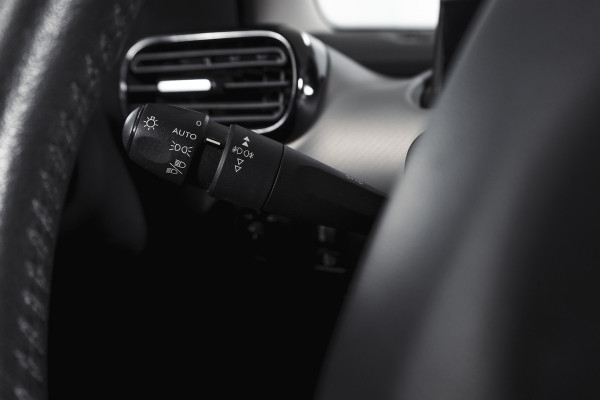 Citroën C4 Cactus 1.2 PureTech Business 111 PK Org. NL | Cruise | PDC | NAV + App. Connect | ECC | LM 16" |