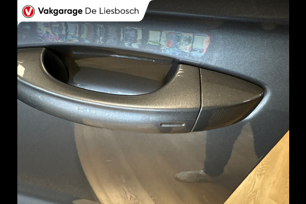 Volkswagen Touareg 3.0 TSi eHybrid 4MOTION R/pano/leer/trekhaak/luchtvering/camera/
