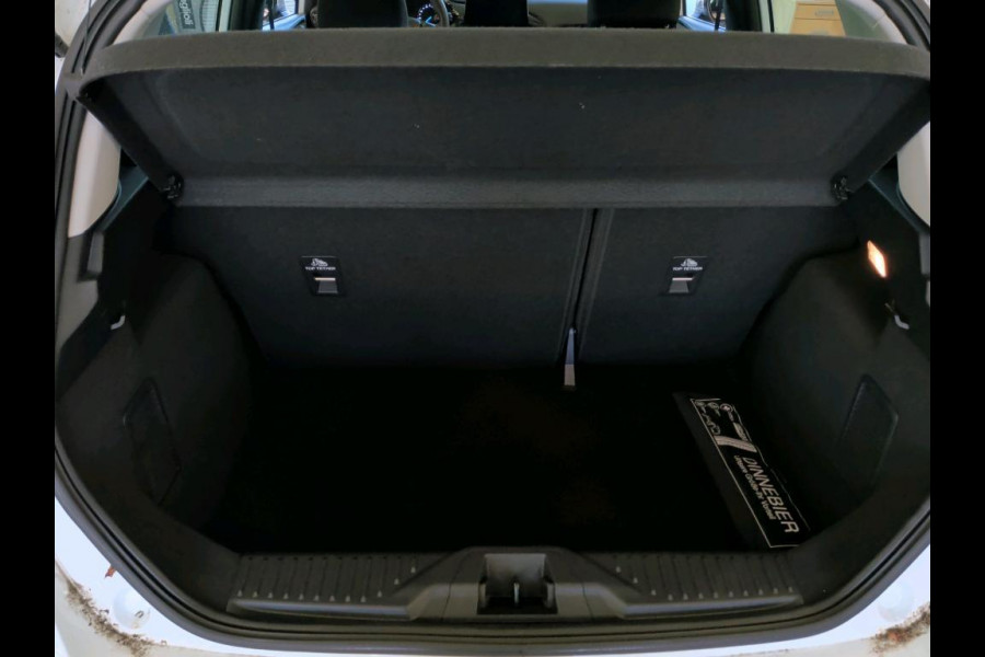 Ford Fiesta 1.0 EcoBoost Hybrid Titanium | Winter Pack |