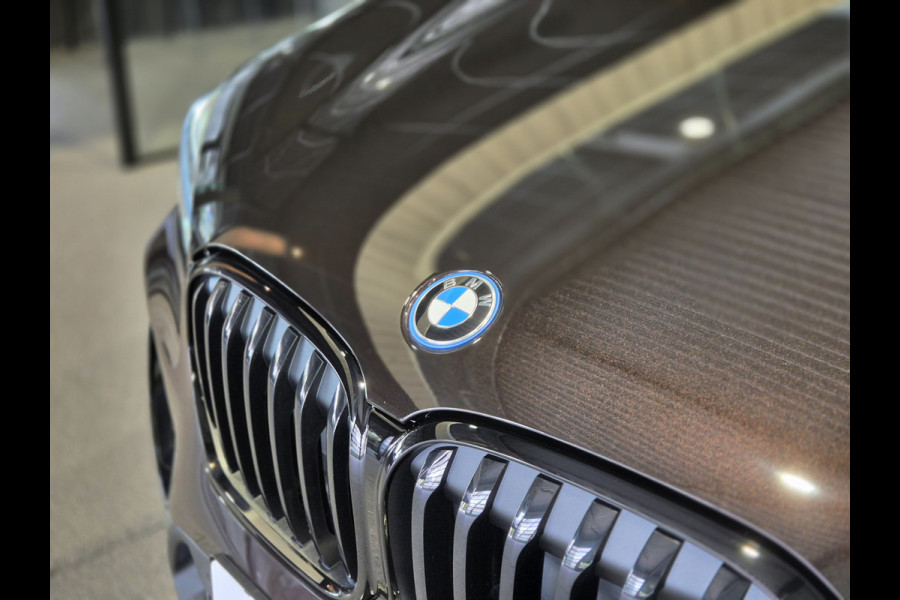 BMW X1 xDrive25e Executive Sportline | Sparkling Brown | Camera | HUD | Stoelverwarming