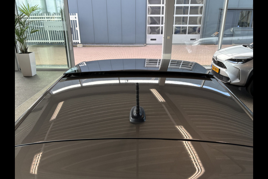 Volkswagen Polo 2.0 TSi 200pk GTi DSG 5-drs. SCHUIFDAK/BEATS/KEYLESS/CAMERA/DODEHOEK/1E EIGENAAR!