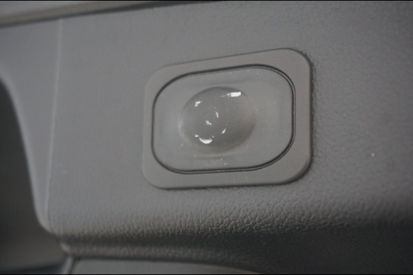 Ford FOCUS Wagon 150PK ST-Line | TREKHAAK | CARPLAY | WINTERPACK