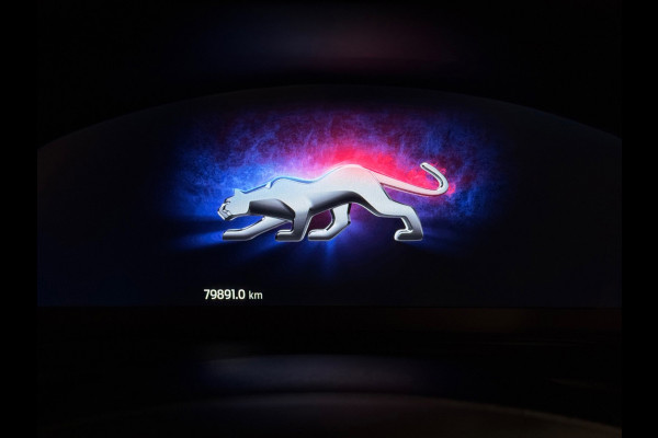 Ford Puma 1.0 EcoBoost Hybrid ST-Line X | Nardo | B&O | Keyless | Camera | Elektrische achterklep