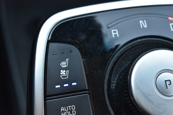 Kia e-Niro ExecutiveLine 64 kWh Soh 97,4% Btw auto Luxe uitvoering