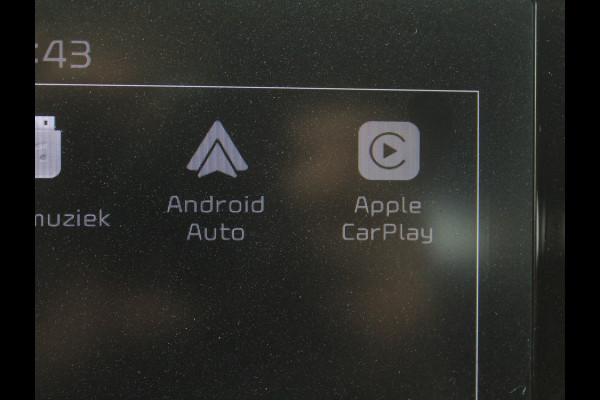 Kia Picanto 1.0 DPi DynamicLine 5p AIRCO | CAMERA | CARPLAY | CRUISE | DAB | LMV14 | ELRM/SP
