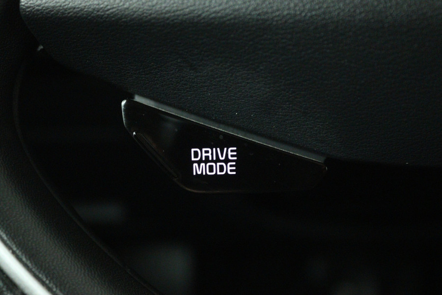 Kia Niro EV DynamicPlusLine 64.8 kWh (PANORAMADAK, TREKHAAK, CAMERA, STOEL/STUUR VERWARMING)