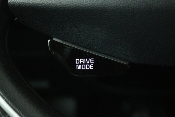 Kia Niro EV DynamicPlusLine 64.8 kWh (PANORAMADAK, TREKHAAK, CAMERA, STOEL/STUUR VERWARMING)