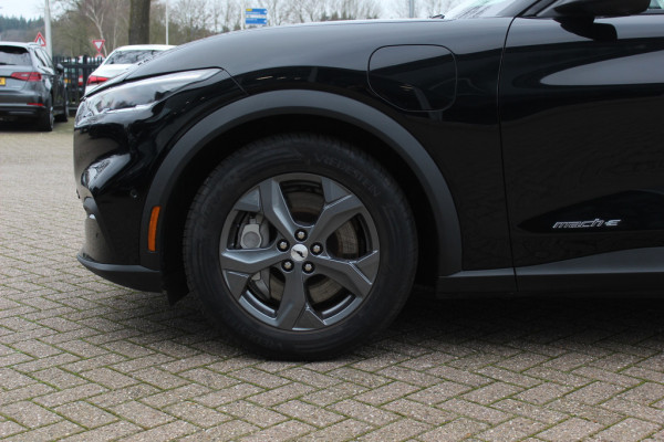 Ford Mustang Mach-E Extended RWD 98 kWh / Camera / Leder / 18'' / Keyless / DAB / Dodehoek / Stuur+Stoelverwarming / ACC