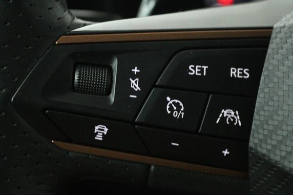 CUPRA Formentor 1.5 TSI Business Edition (PANORAMADAK, STOEL/STUUR VERWARMING, CAMERA)