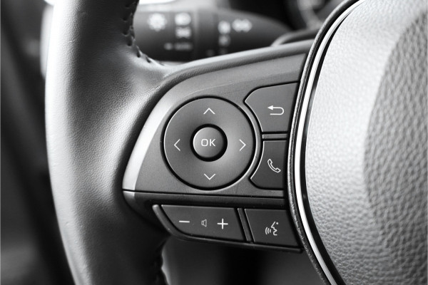 Toyota RAV4 2.5 Hybrid AWD ADVENTURE Pano JBL