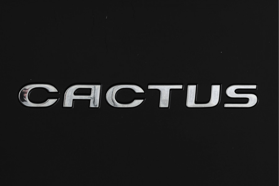 Citroën C4 Cactus 1.2 PureTech Shine 82 PK Org.NL | Cruise | PDC | Camera | NAV | ECC | LM 16" |