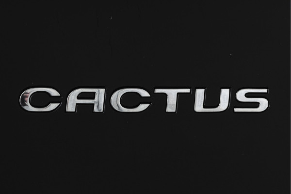 Citroën C4 Cactus 1.2 PureTech Shine 82 PK Org.NL | Cruise | PDC | Camera | NAV | ECC | LM 16" |