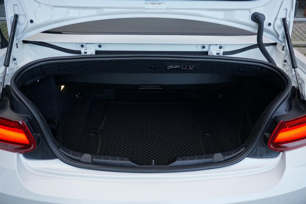 BMW 2 Serie Cabrio 220i High Executive + CAMERA / LEDER / STOELVERWARMING / GROOT SCHERM