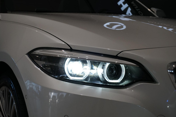 BMW 2 Serie Cabrio 220i High Executive + CAMERA / LEDER / STOELVERWARMING / GROOT SCHERM