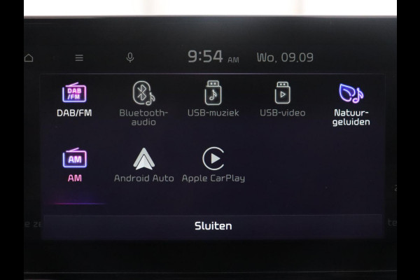 Kia Ceed Sportswagon 1.5 T-GDi MHEV GT-Line Edition | Cruise control | Trekhaak | Camera | Park assist | Carplay | Climate control | Full LED | 17" velgen