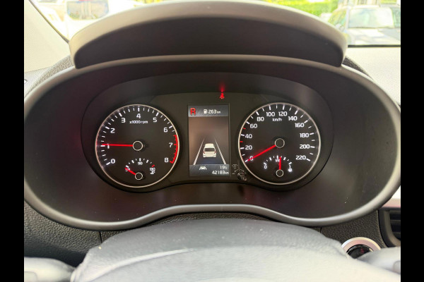 Kia Picanto 1.0 T-GDi GT-Line 100PK Schuif/kanteldak,Apple Carpl,NL auto,Camera A,Cruise Contr,Navi,Stoel+stuur verwarming