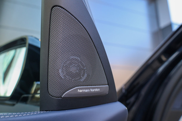 BMW X7 xDrive40d High Executive | VOL! | INDIVIDUAL LEDER | MASSAGE | SKYLOUNGE | CO PILOT | H/K |