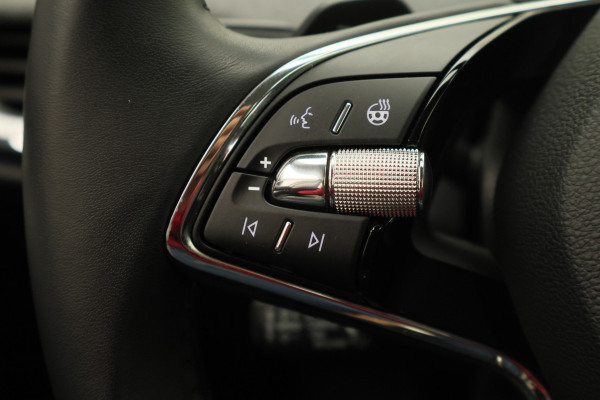 Škoda ENYAQ iV 80 SOH 96,4%, ACC, Dodehoeksensor, Camera, Stuur-/Stoelverwarming, Apple Carplay, PDC