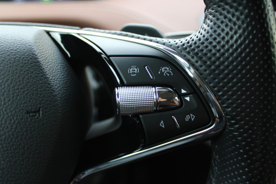 Škoda ENYAQ iV 80 First Edition | Trekhaak | Adaptieve cruise | Memory | Elek. achterklep