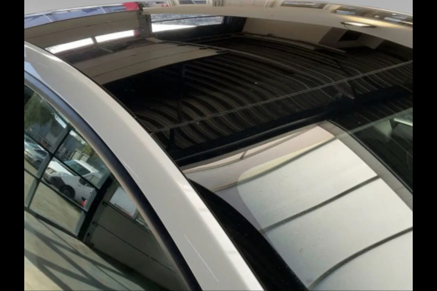 Tesla Model Y (1e Eig, NL-auto, Autopilot, Navi, Panorama, Camera, Etc)
